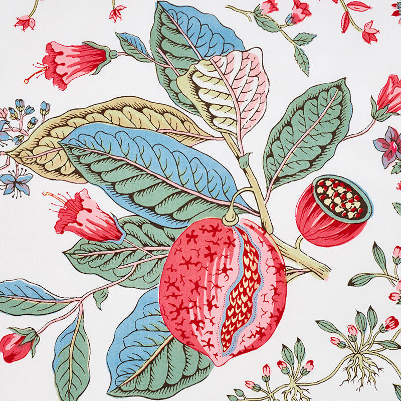 Schumacher Pomegranate Botanical Document Fabric - Eade's Wallpaper