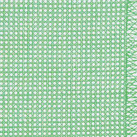 Schumacher Sugar Cane Green Fabric - Eade's Wallpaper