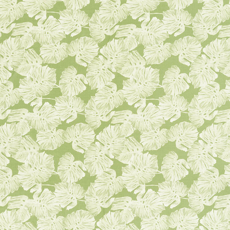 Eade’s LEAF