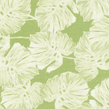 Eade’s LEAF