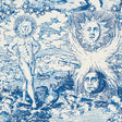 Schumacher Modern Toile Indigo Fabric - Eade's Wallpaper