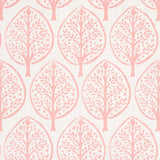 Schumacher Mini Burchettes Pink Fabric - Eade's Wallpaper