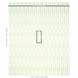 Schumacher Fern Sage Fabric