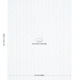 Schumacher Beatriz Handprint Sky Fabric