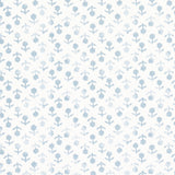 Schumacher Beatriz Handprint Sky Fabric