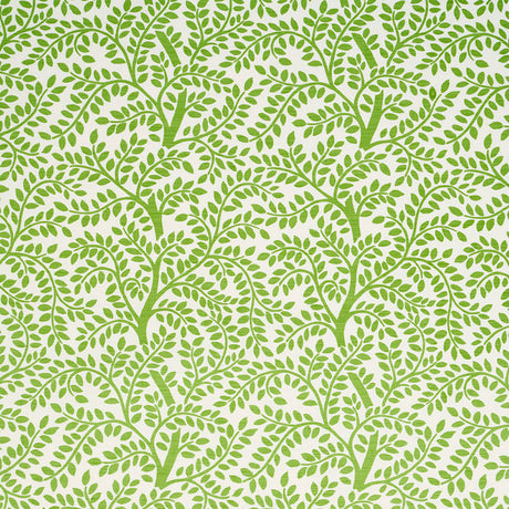 Schumacher Temple Garden Ii Green Fabric - Eade's Wallpaper