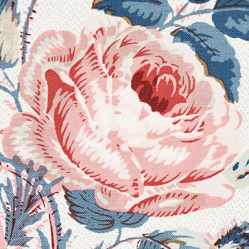 Eade’s ROSE & BLUE