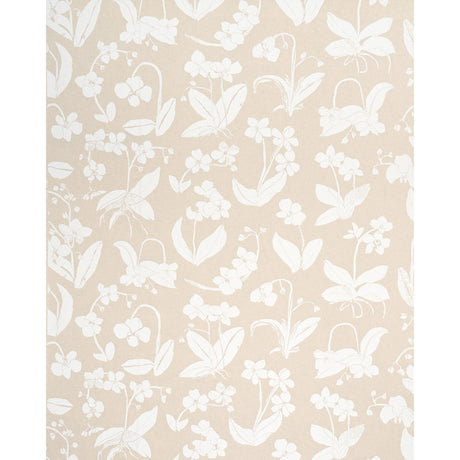 Eade’s LIGHT NEUTRAL