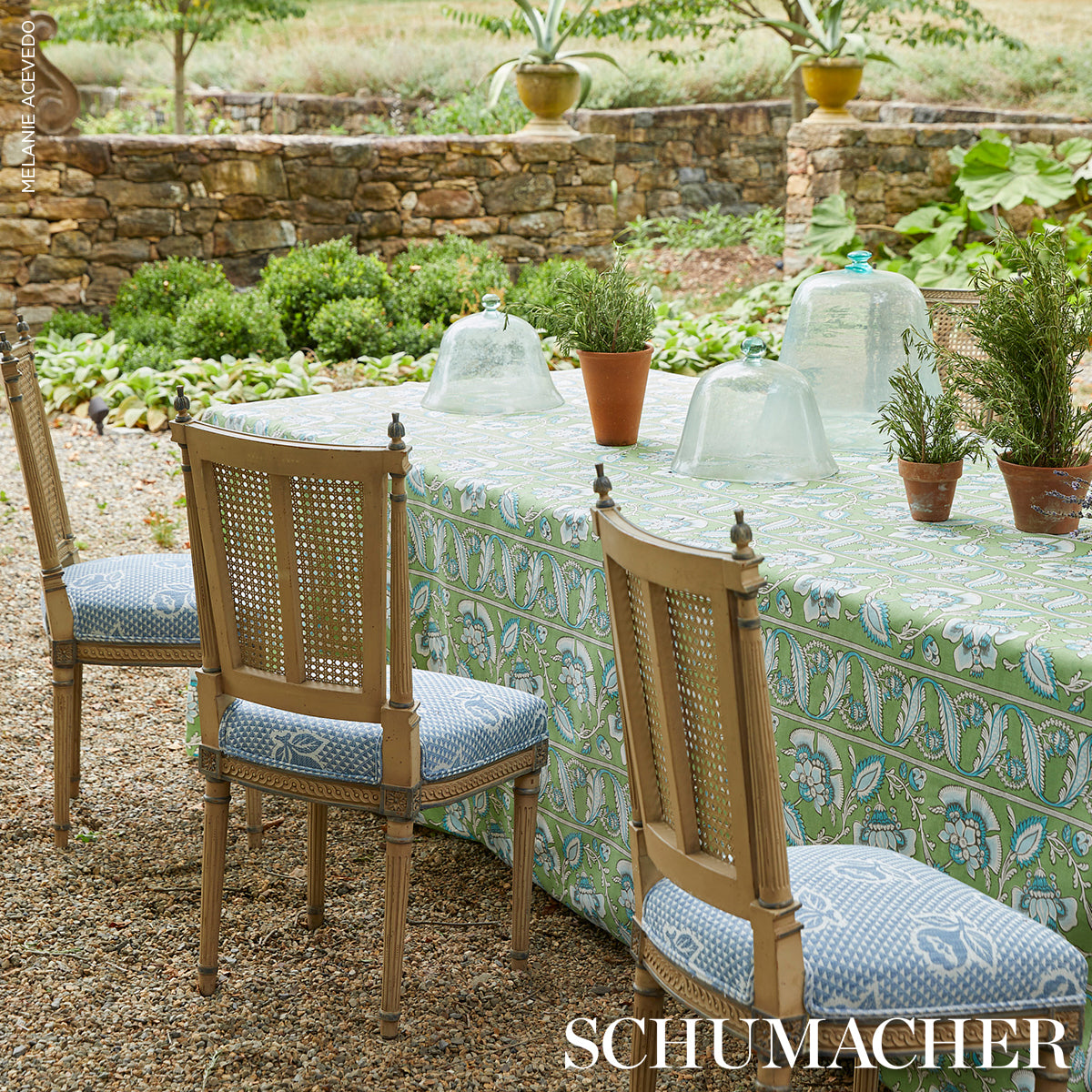 Schumacher Marielle Vine Green & Peacock Fabric - Eade's Wallpaper