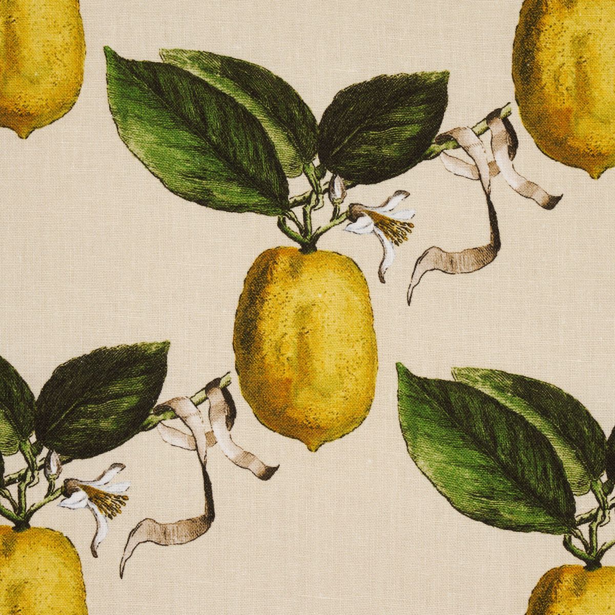 Schumacher Le Citron Natural Fabric - Eade's Wallpaper
