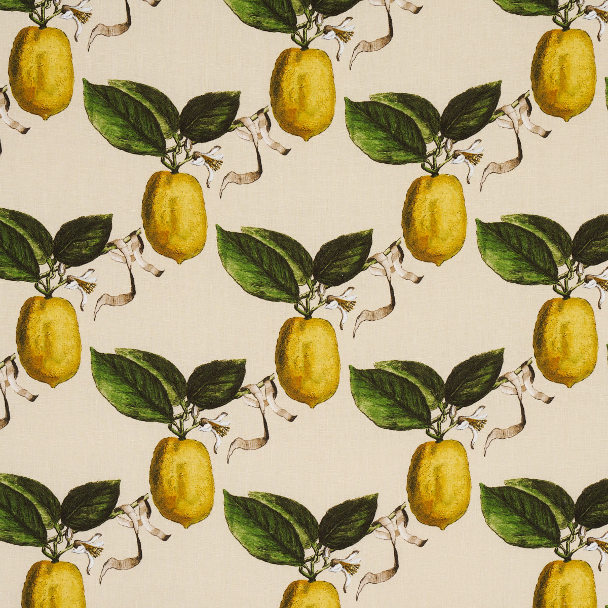 Schumacher Le Citron Natural Fabric - Eade's Wallpaper
