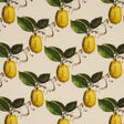 Schumacher Le Citron Natural Fabric - Eade's Wallpaper