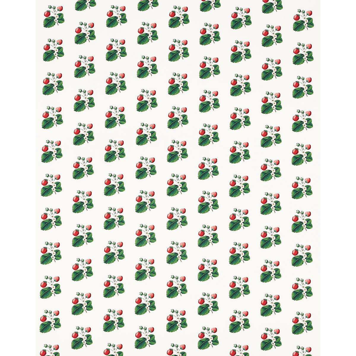 Schumacher Strawberry Hill White Fabric - Eade's Wallpaper