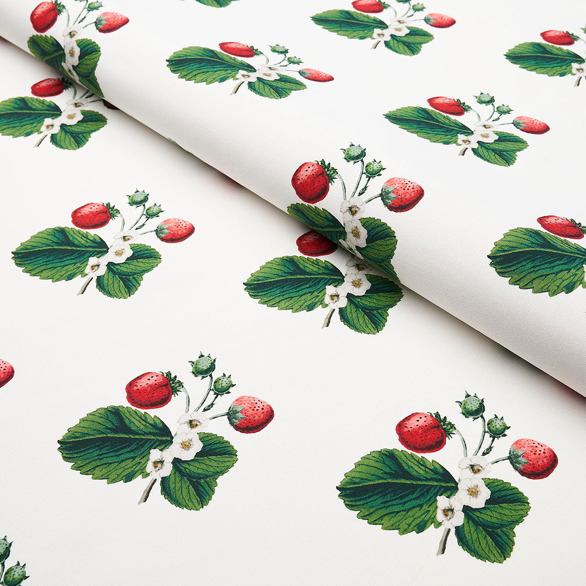 Schumacher Strawberry Hill White Fabric - Eade's Wallpaper