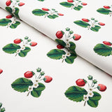 Schumacher Strawberry Hill White Fabric - Eade's Wallpaper