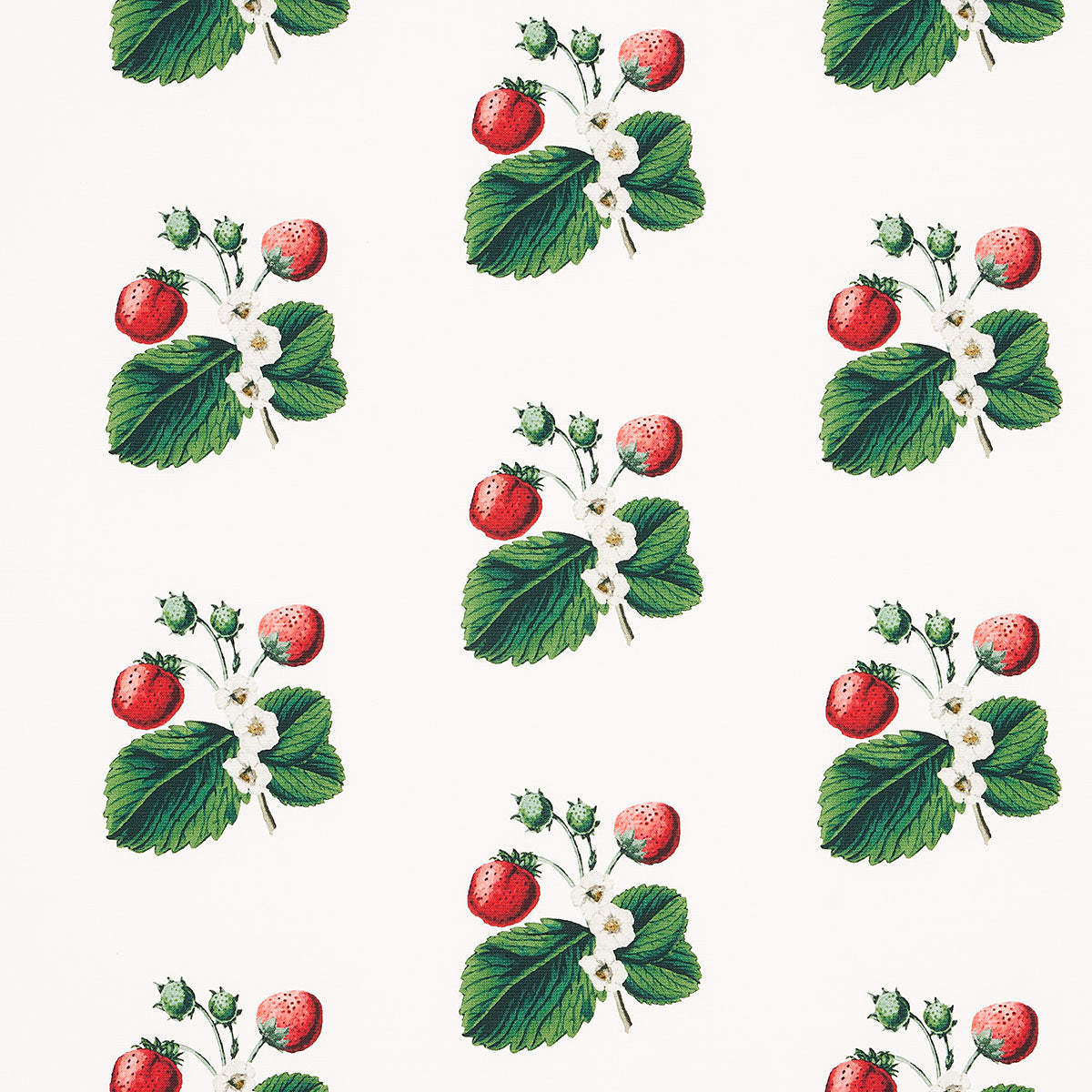 Schumacher Strawberry Hill White Fabric - Eade's Wallpaper