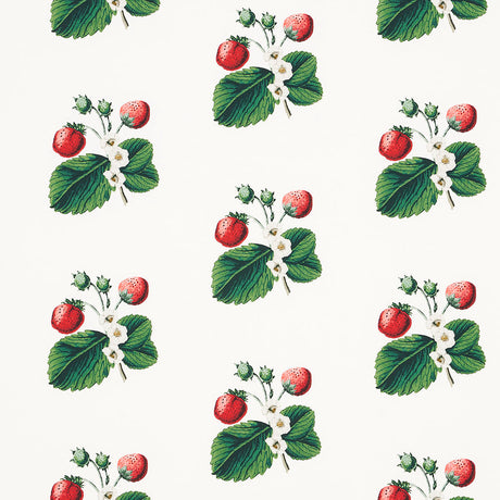 Schumacher Strawberry Hill White Fabric - Eade's Wallpaper