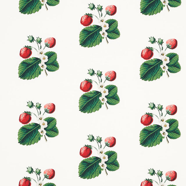Schumacher Strawberry Hill White Fabric - Eade's Wallpaper