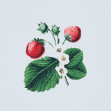 Schumacher Strawberry Hill Sky Fabric - Eade's Wallpaper