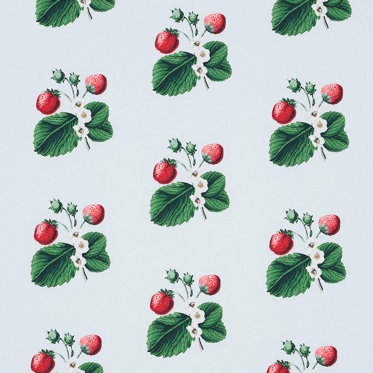 Schumacher Strawberry Hill Sky Fabric - Eade's Wallpaper