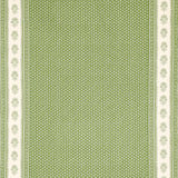 Schumacher Hyacinth Indoor/Outdoor Leaf Green Fabric