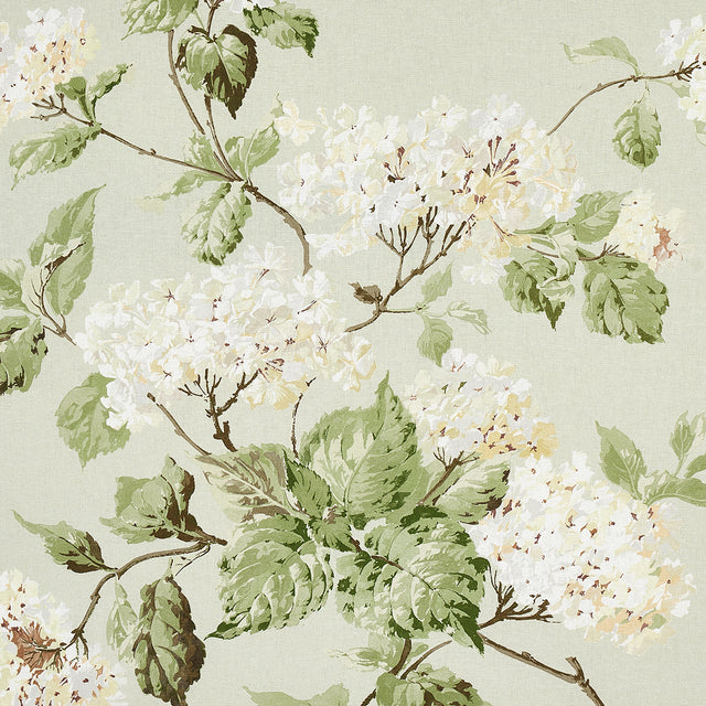 Schumacher Summer Hydrangea Celadon Fabric - Eade's Wallpaper