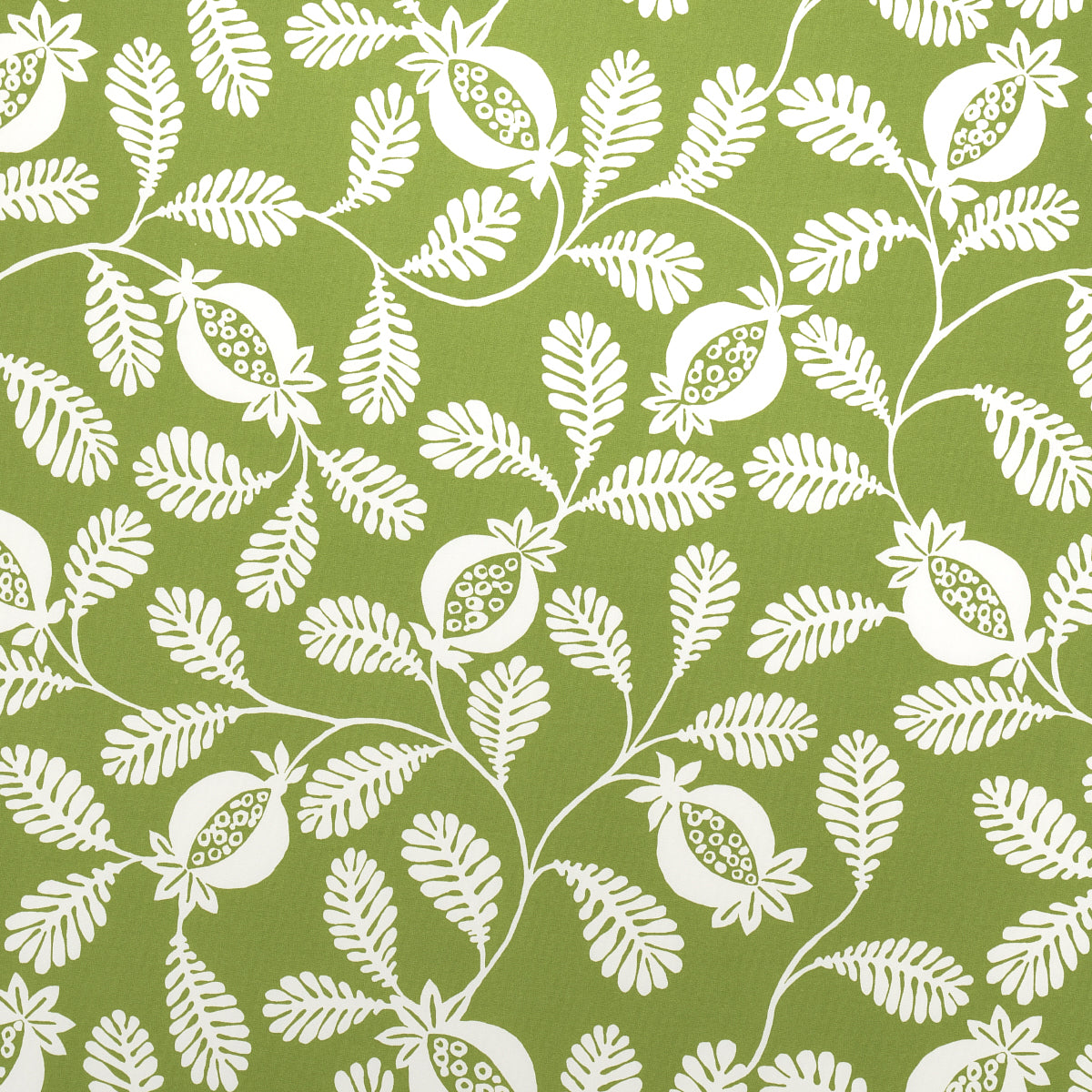 Schumacher Lanzadera Vine Indoor/Outdoor Honeydew Fabric - Eade's Wallpaper