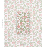 Schumacher Kava Cay Indoor/Outdoor Apricot Fabric
