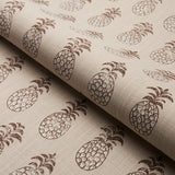 Schumacher Piña Cove Indoor/Outdoor Coconut Fabric - Eade's Wallpaper