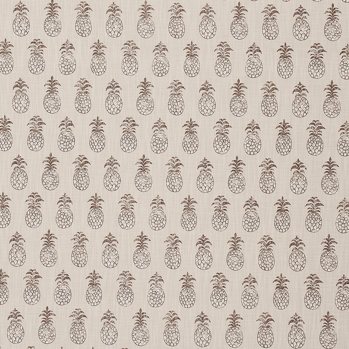Schumacher Piña Cove Indoor/Outdoor Coconut Fabric - Eade's Wallpaper