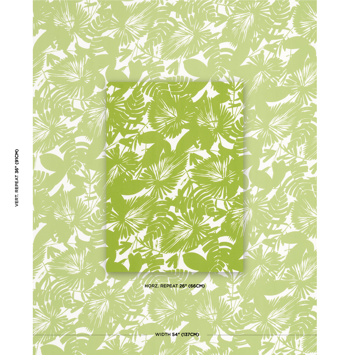Eade’s FERN