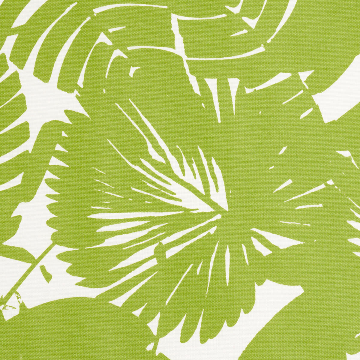 Eade’s FERN