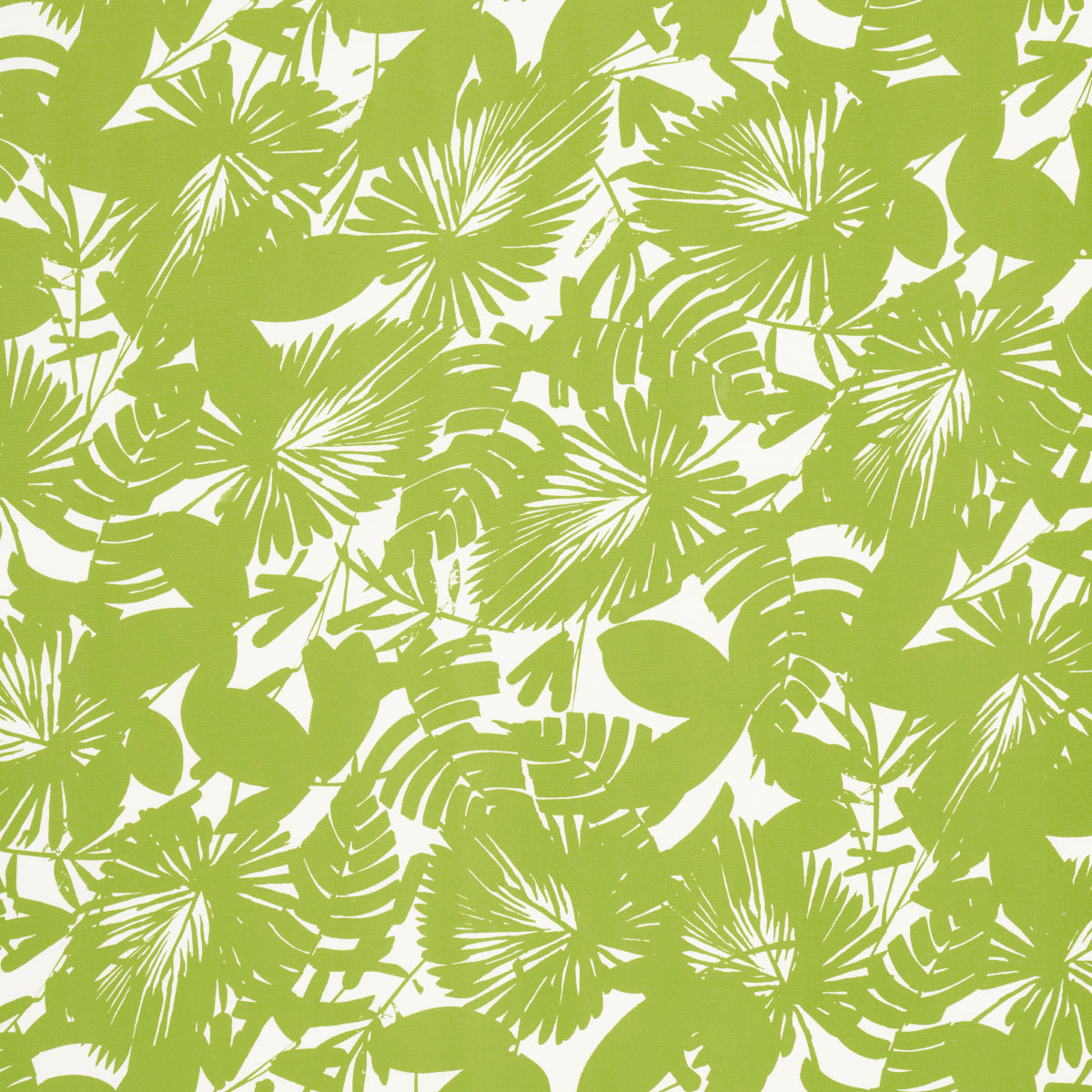 Eade’s FERN