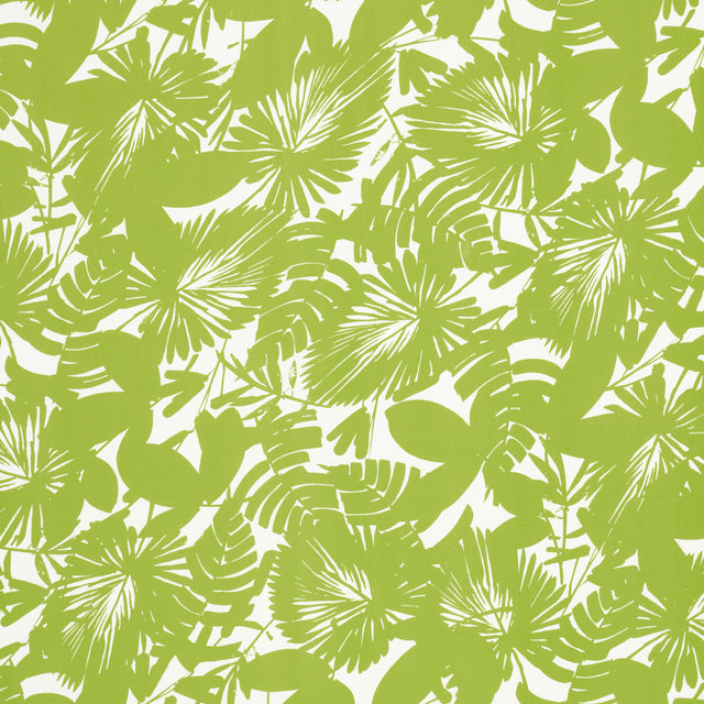 Eade’s FERN