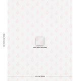 Schumacher Kerala Paisley Blush Fabric