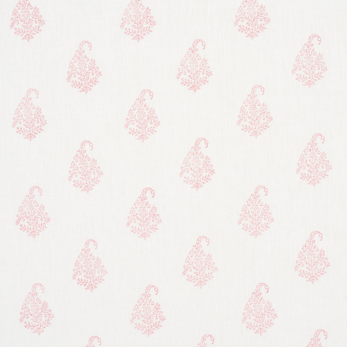 Schumacher Kerala Paisley Blush Fabric