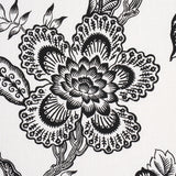 Eade’s BLACK & WHITE