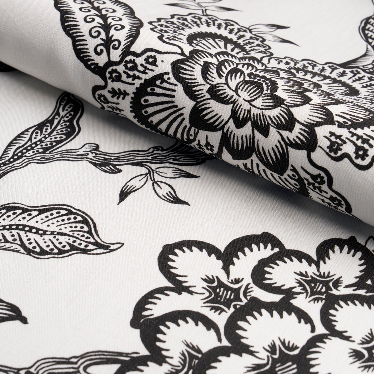 Eade’s BLACK & WHITE