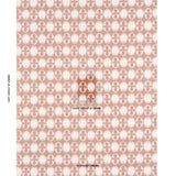 Eade’s BLUSH ON TERRACOTTA