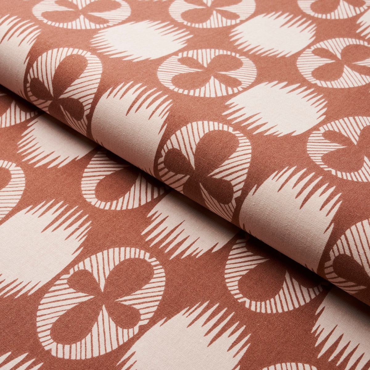 Eade’s BLUSH ON TERRACOTTA