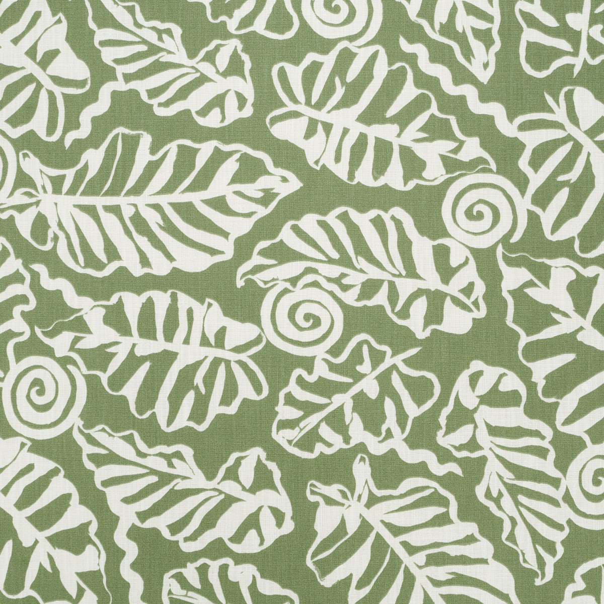 Eade’s VERDE