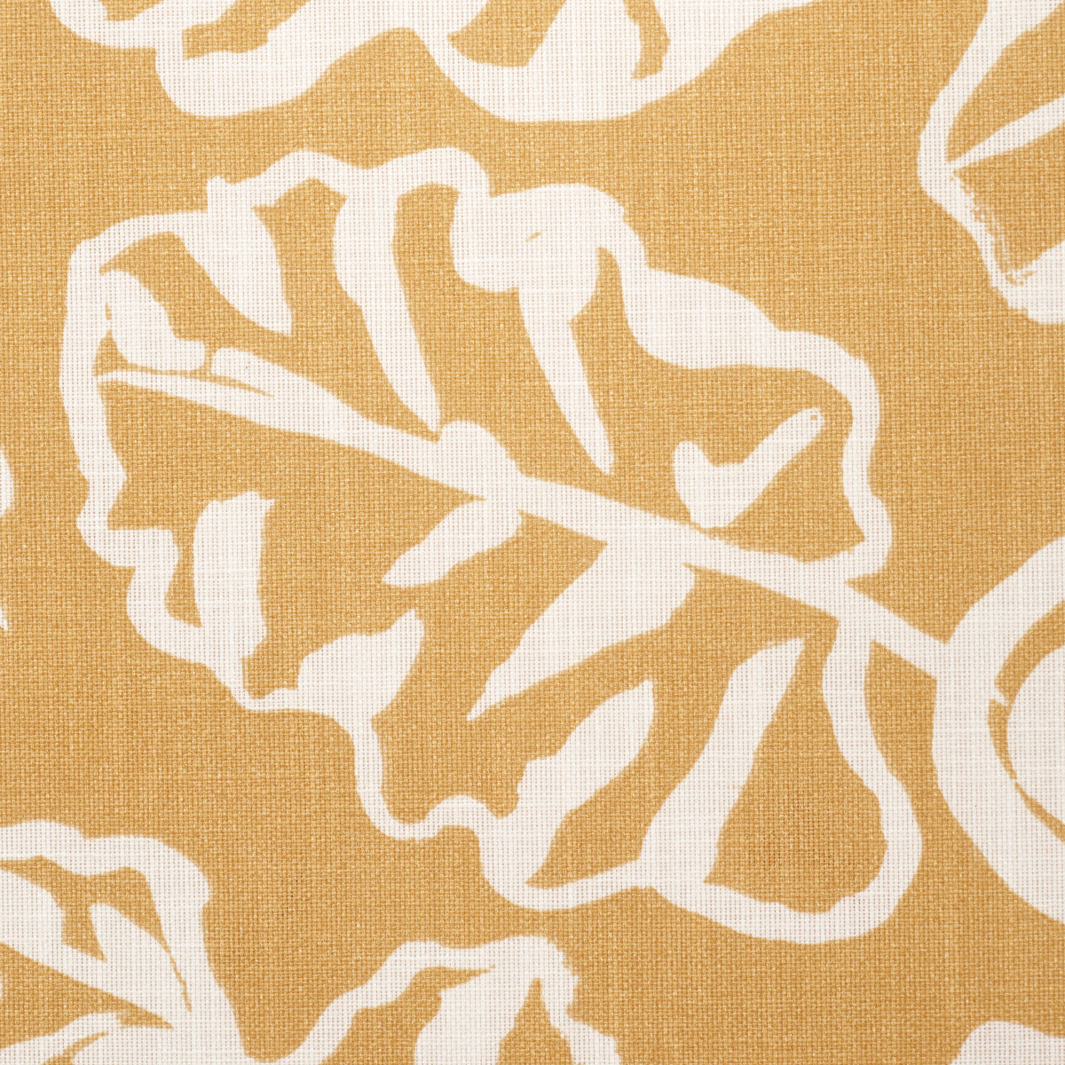 Eade’s MARIGOLD