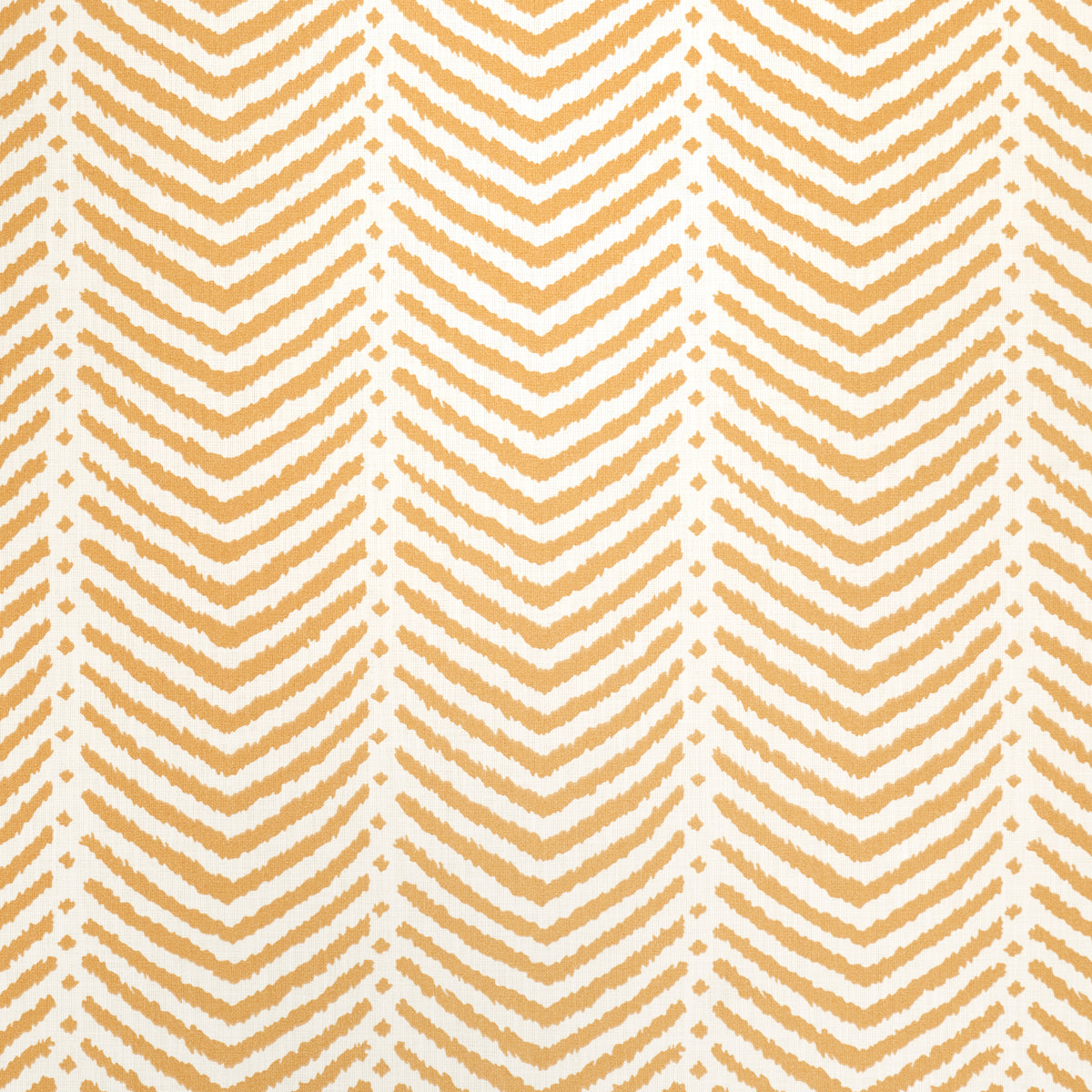 Eade’s MARIGOLD
