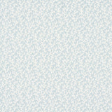 Schumacher Folly Sky Fabric