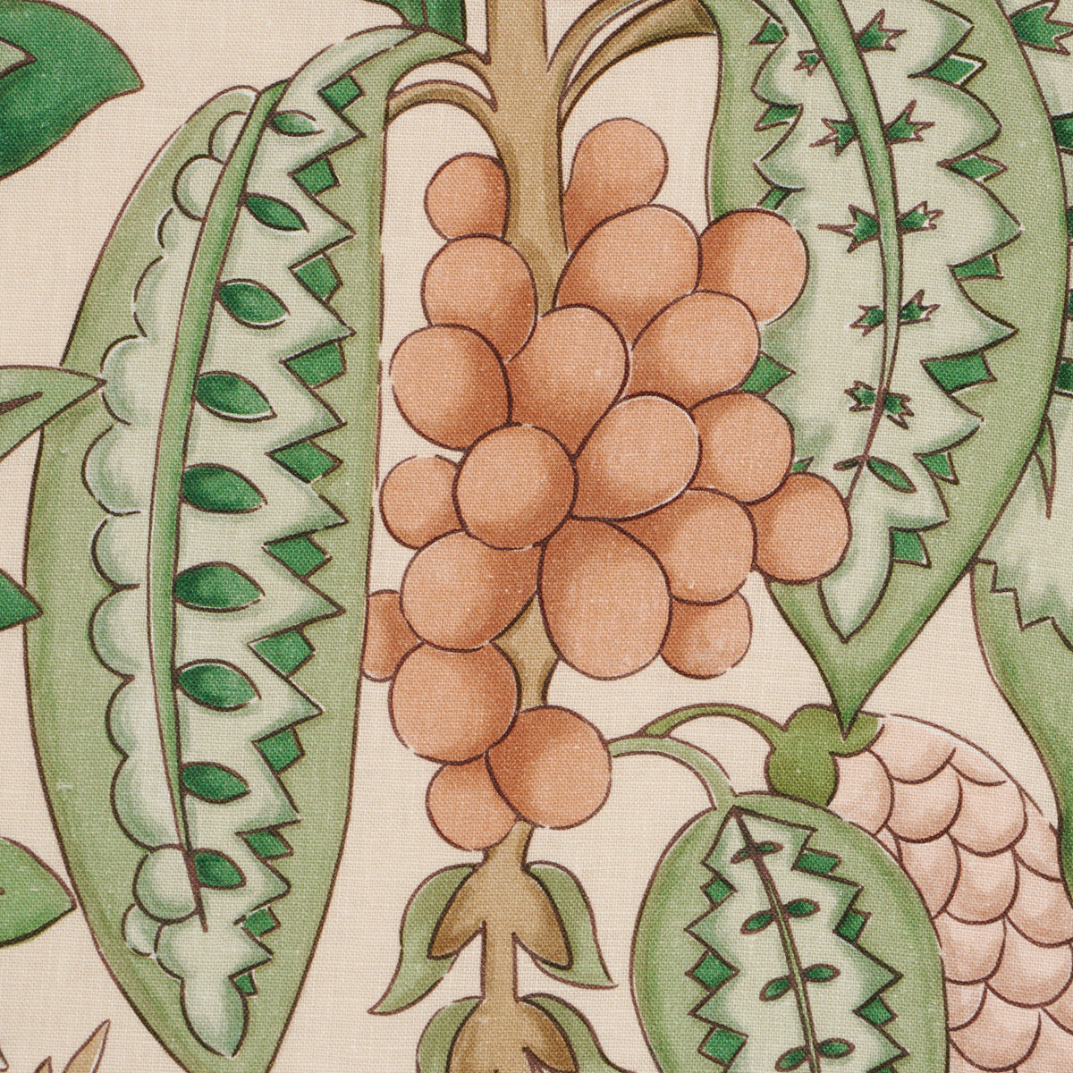 Schumacher 182482 FRUITS DE SAISON in APRICOT Fabric - TIMOT