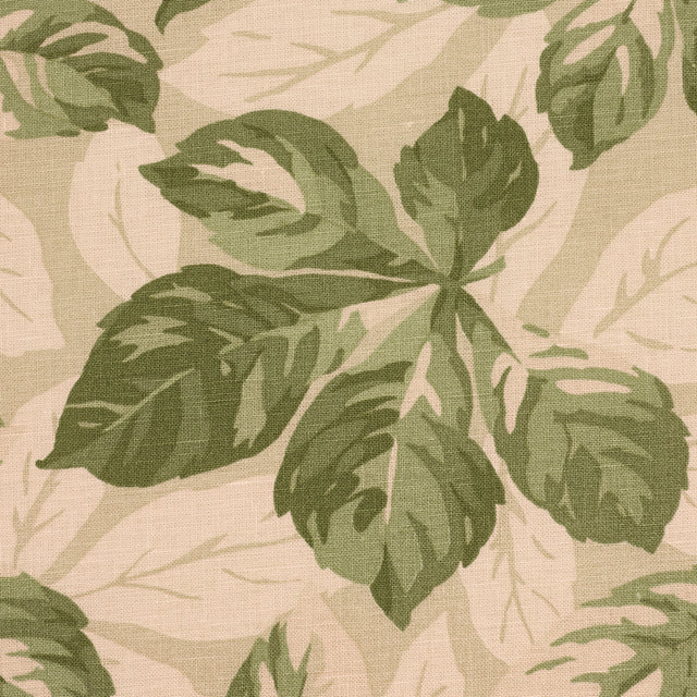 Schumacher 182650 ARBOREAL in SAGE Fabric - SCHUMACHER CLASS