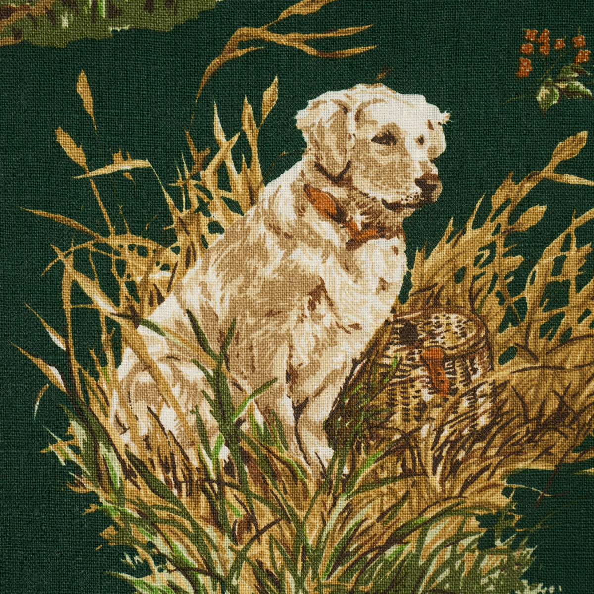 Schumacher 182662 DOG & DUCK in VERDANT Fabric - A COUNTRY L