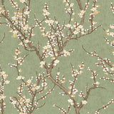 Galerie 1903-4 Green Sakura Tree - Eade's Wallpaper