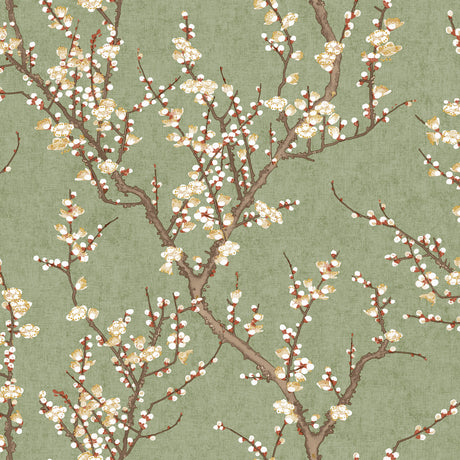 Galerie Spring Blossom Sakura Tree Green Wallpaper 1903-4