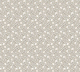 Eade's 1905-4-sample Cream